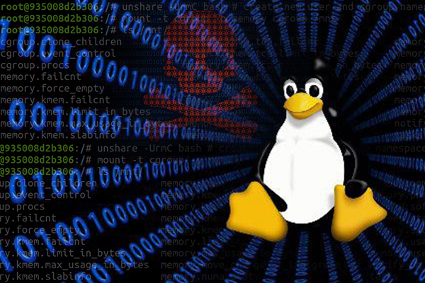 Vulnerable Linux Kernel Versions Enable Hackers to Execute Arbitrary ...