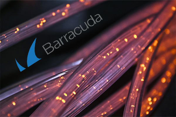 Barracuda Networks Patches Zero-Day Vulnerability in its Email Security Gateway Appliance